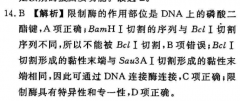 2021-2022Ӣܱ˴