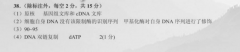 2022 Ӣܱ 꼶 α 31